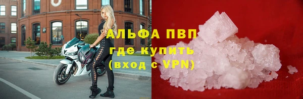 твердый Волоколамск